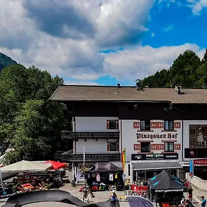 Pinzgauerhof & Bike - Inclusive Evening Dinner 3*, Зальбах-Хинтерглемм Австрия